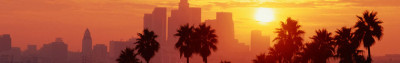 a silhouette of palm trees and buildings